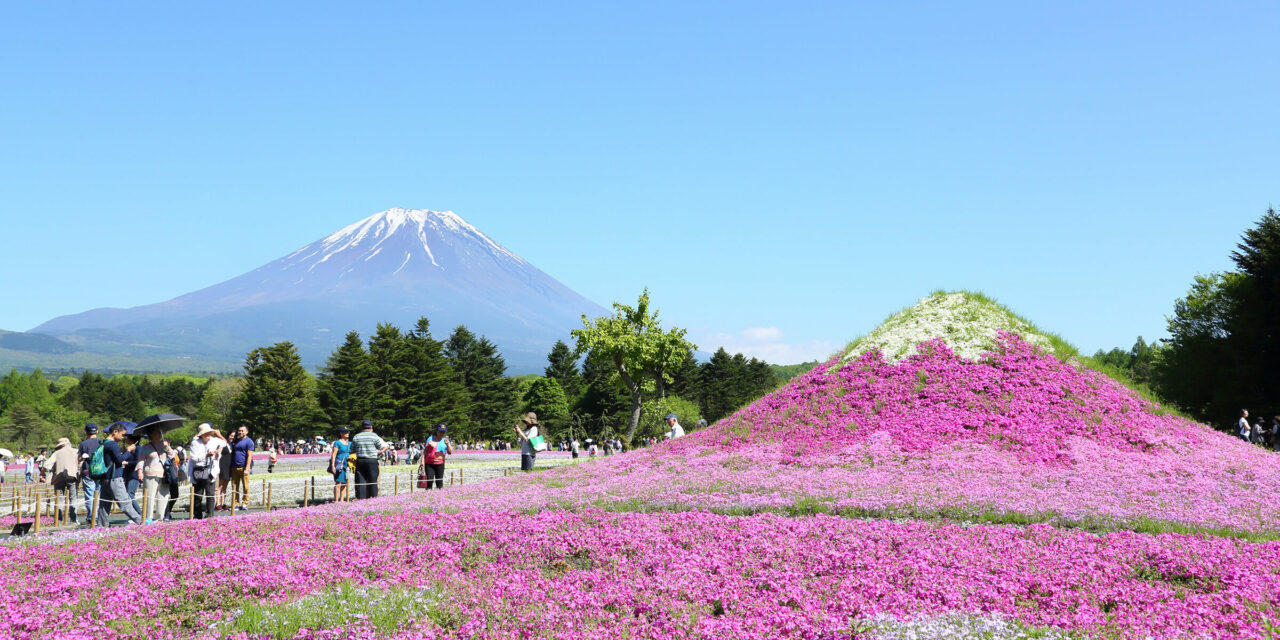 1 Nici Japan – Spring image