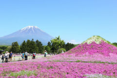 1 Nici Japan – Spring image
