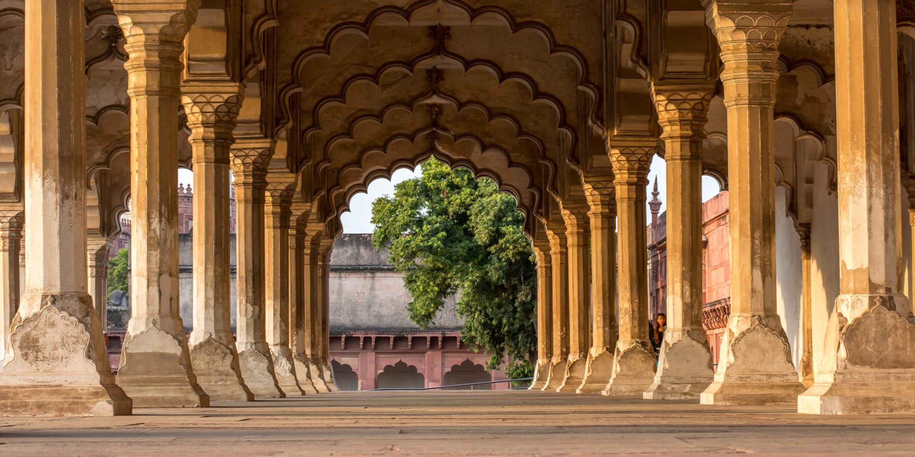 AGRA shutterstock_508435579