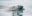 annie-spratt-nt_nl97DKM0-unsplash