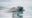 annie-spratt-nt_nl97DKM0-unsplash