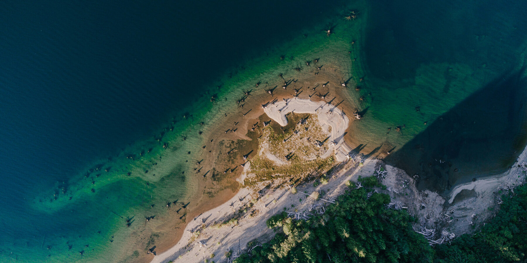 anton-marchuk-ryswvtJIOBs-unsplash
