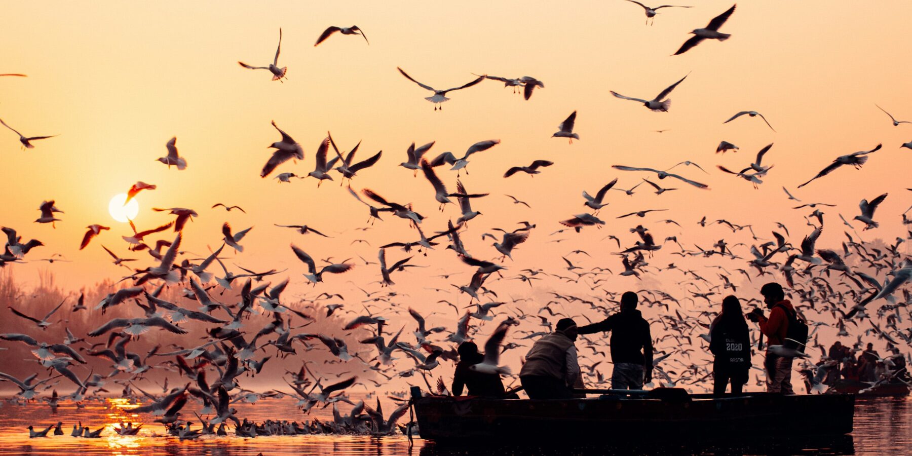 anuj-yadav-1KehhzFg_Q0-unsplash