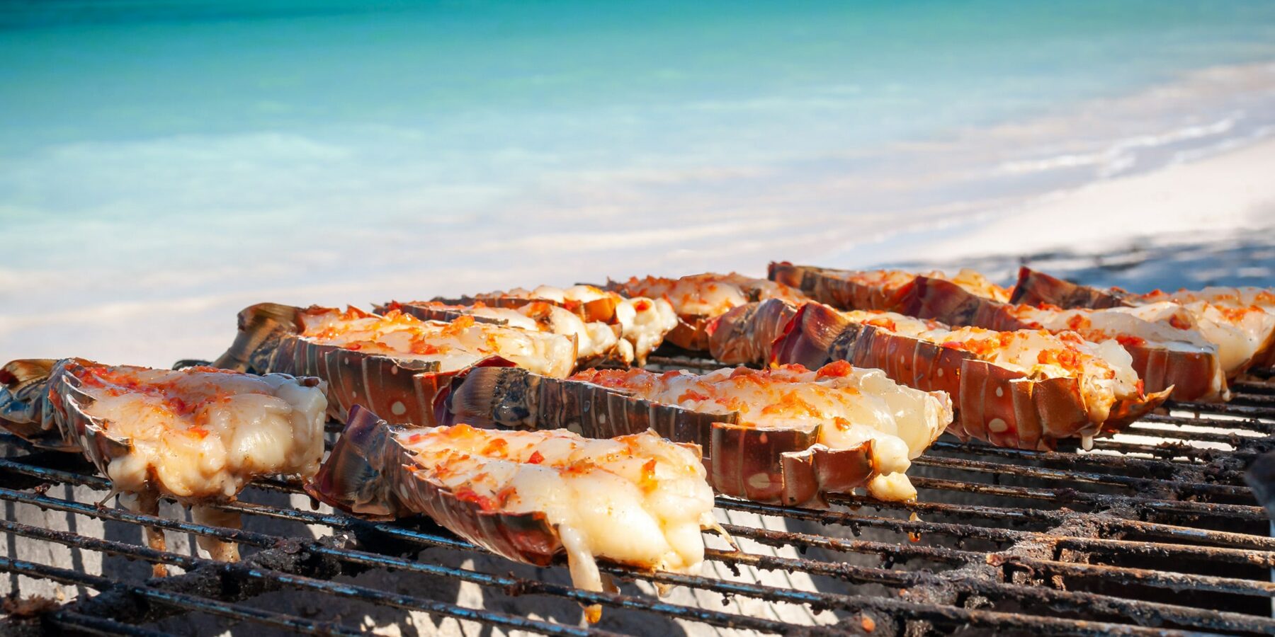 BEACH BBQ shutterstock_1736080295