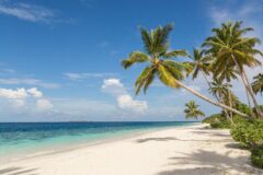 BEACH shutterstock_1213278733