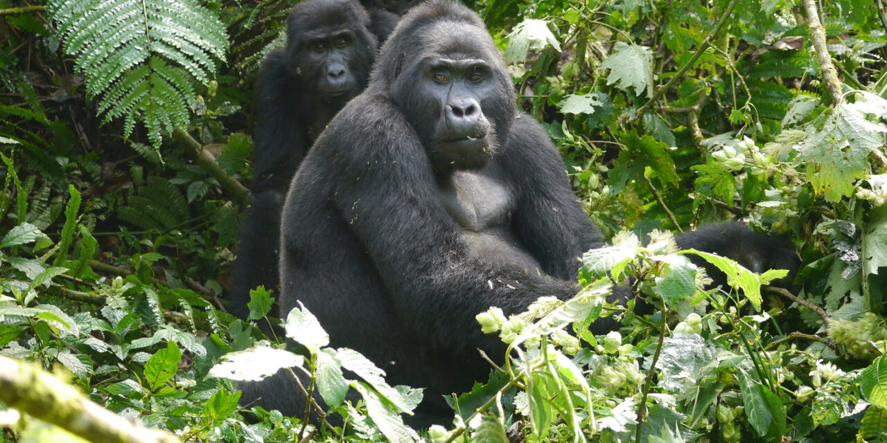 #WildernessDestinations #WeAreWilderness @wearewilderness