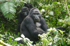 #WildernessDestinations #WeAreWilderness @wearewilderness