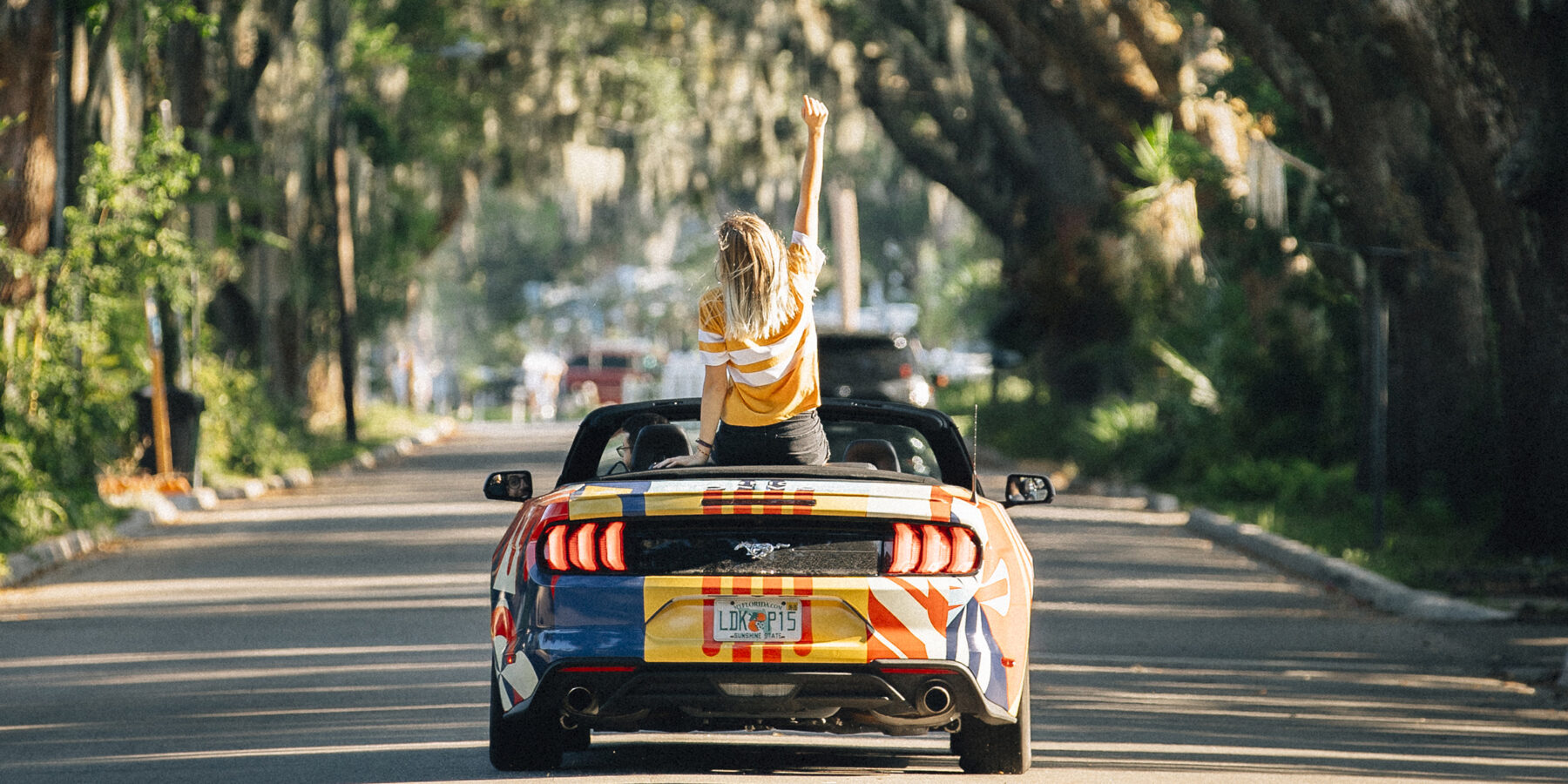 Dallal USA road trip hero image