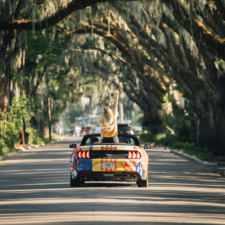 Dallal USA road trip hero image