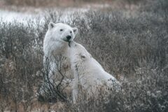 dustin-bowdige-yoSD_s7j5P4-unsplash