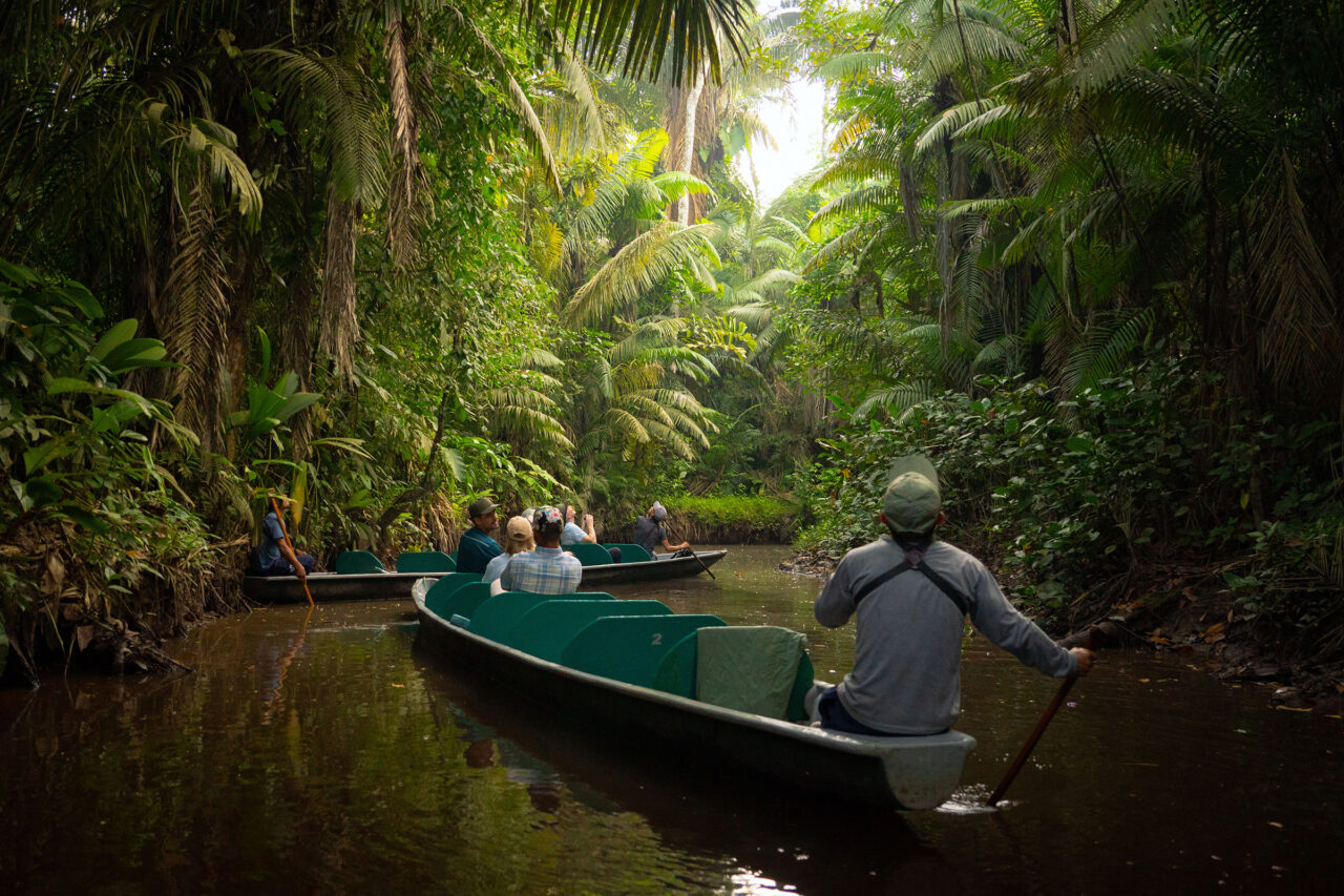 Ecuador Canoe through Rainforest