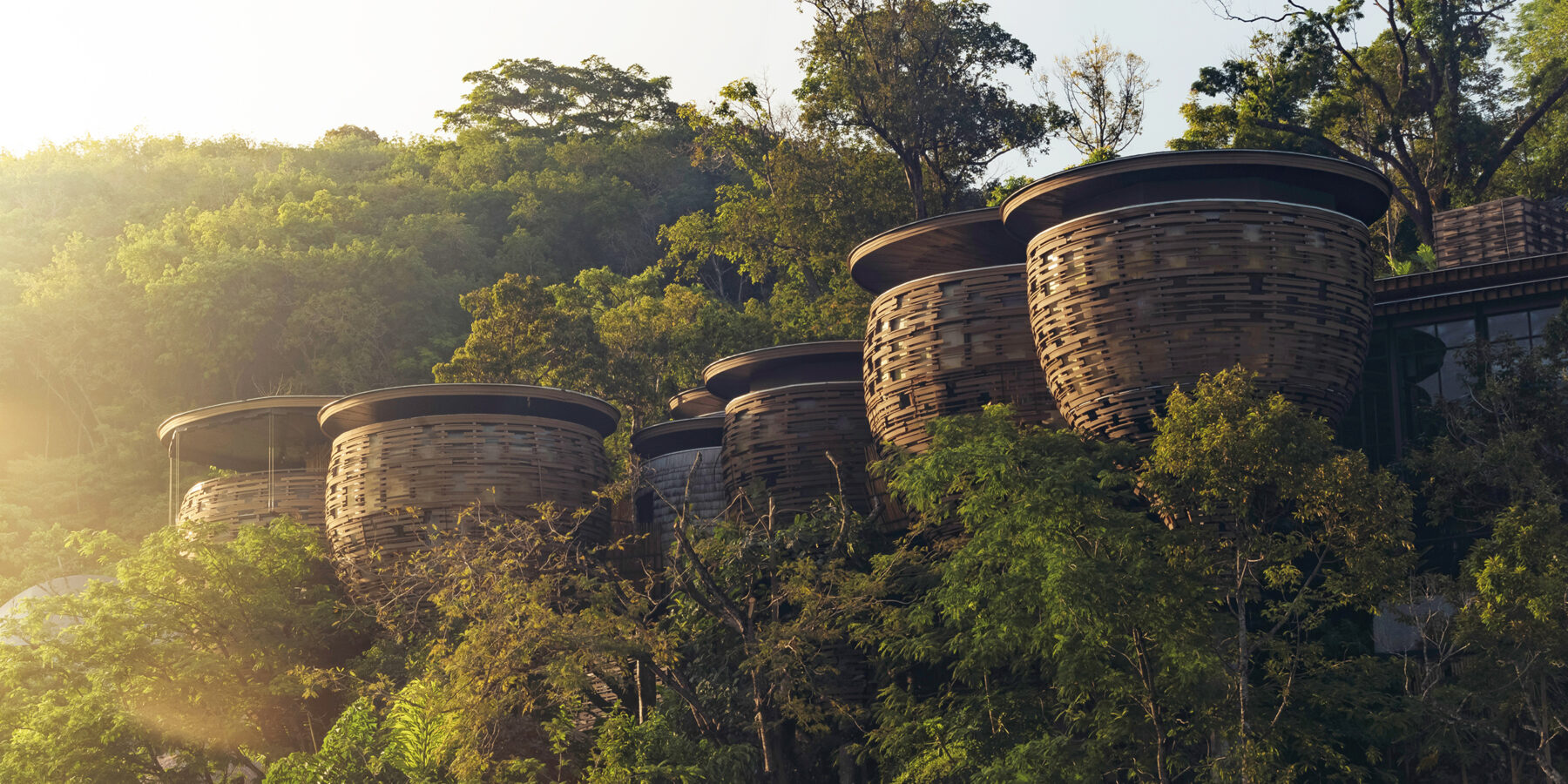 EDIT_Keemala Tree Towers at Sunrise