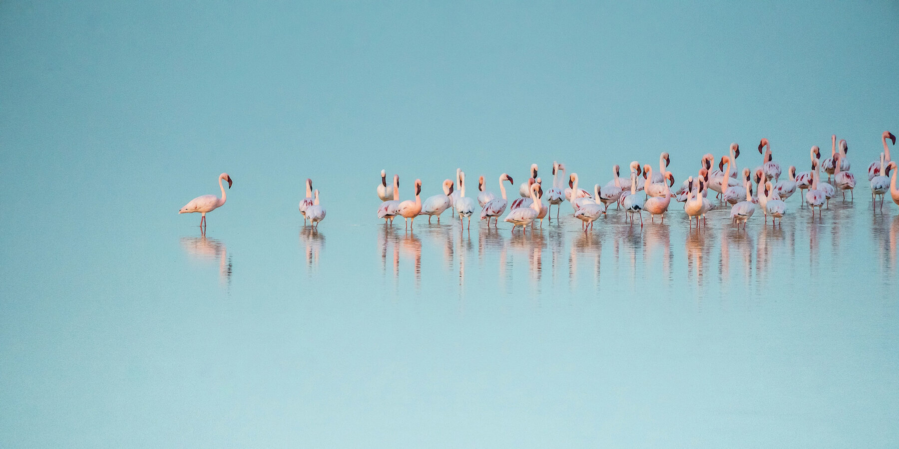 eelco-bohtlingk-zrLzLVLZquY-unsplash