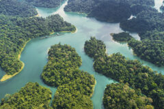 Elephant Hills 2