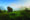 Elephant Hills 5