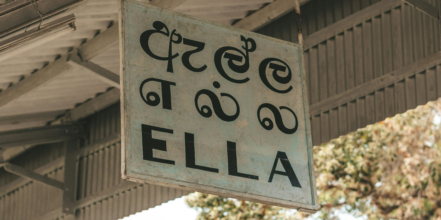 filiz-elaerts-XtAI_ChO4sk-unsplash