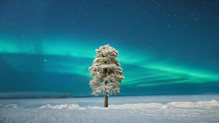 Finnish Lapland – Hero Image