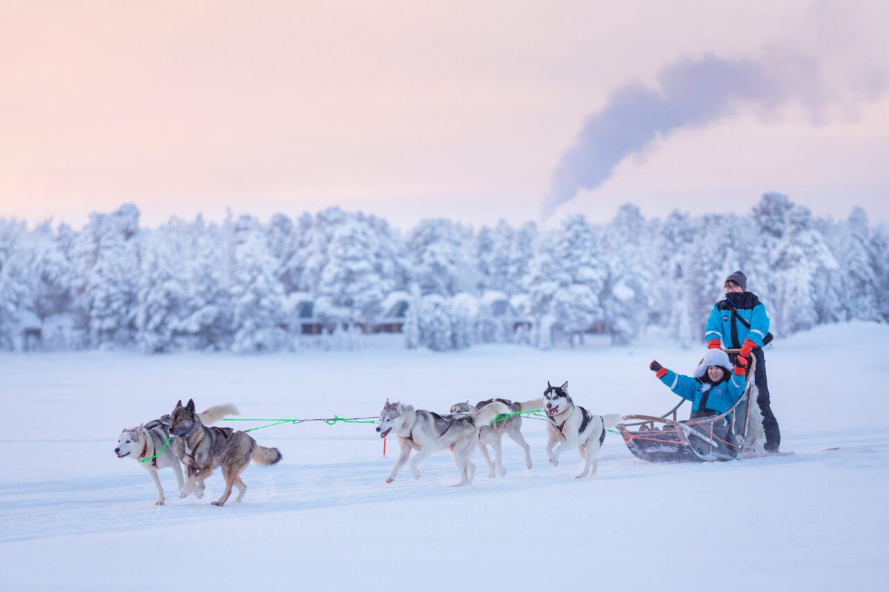 Finnish Lapland – swap out for Featured Experience Mush your own husky team