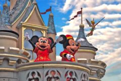 Florida Magic – Disney swap out for the Mickey & Minnie image 2 on carousel and have this as main image