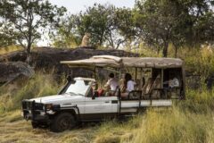 game drives in state of the art open converted 4×4 s accompanied by a professional Ranger and a local Kuria spotter
