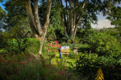 Gibb’s Farm – Best of Tanzania Lodges image 4 of Arusha and the Highlands
