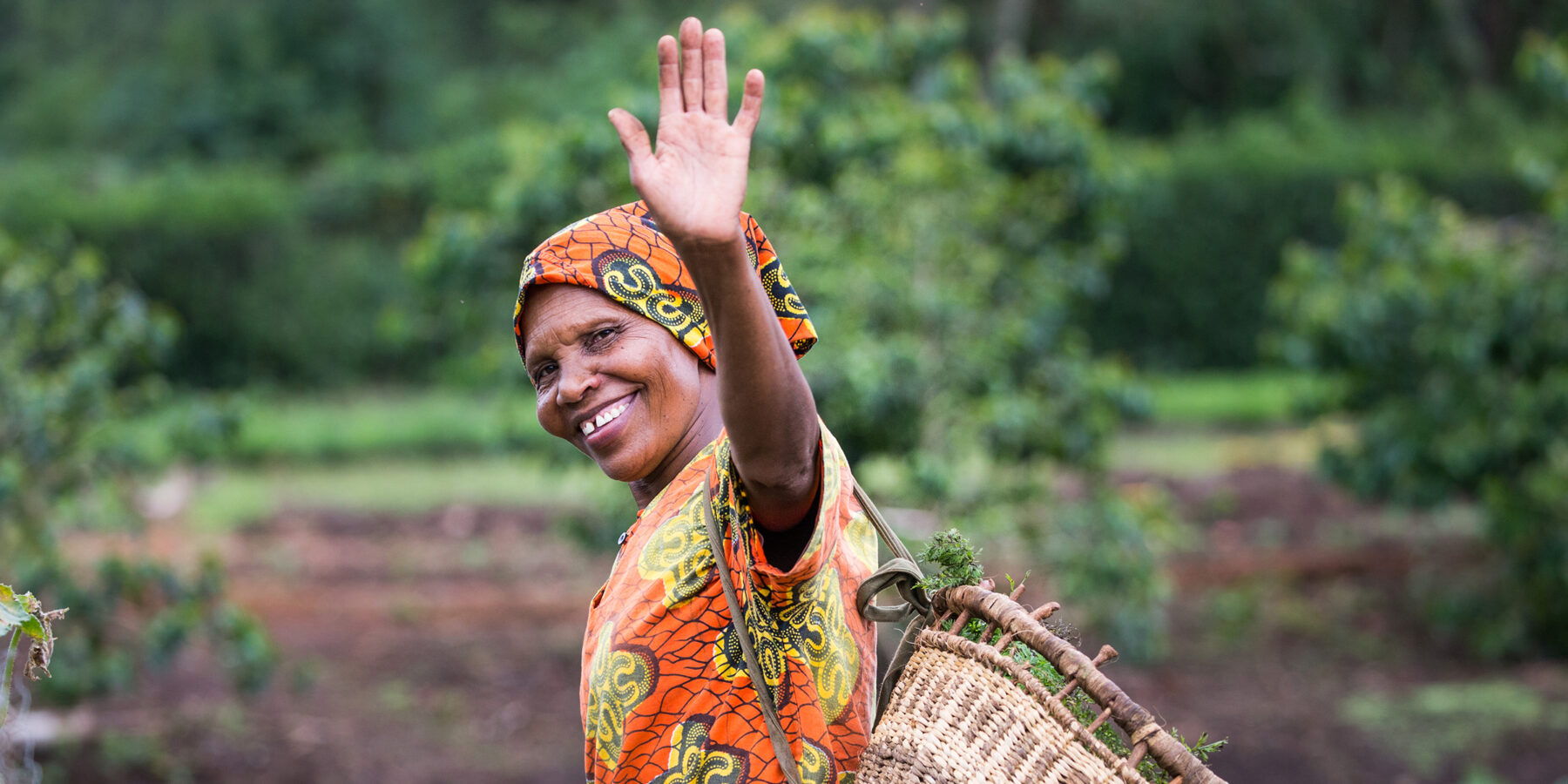 Gibbs Farm – Tanzania