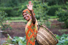 Gibbs Farm – Tanzania