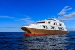 Golden Galapagos 1