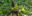 Gorilla blog 4th large image