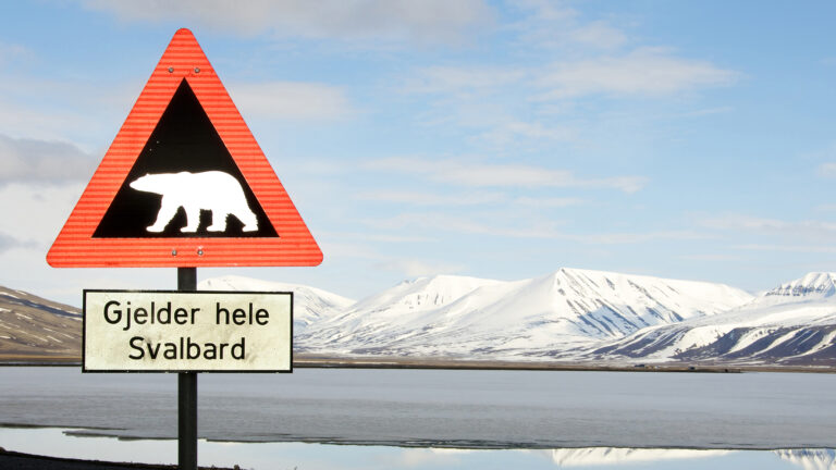 Spitsbergen, 10 – 18 June, 2010