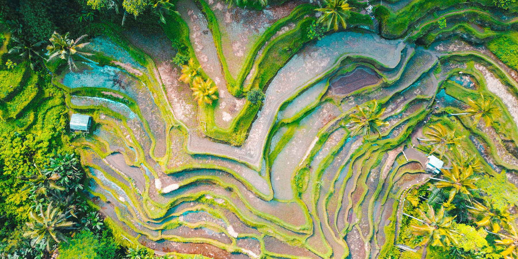 jason-cooper-XEhchWQuWyM-unsplash