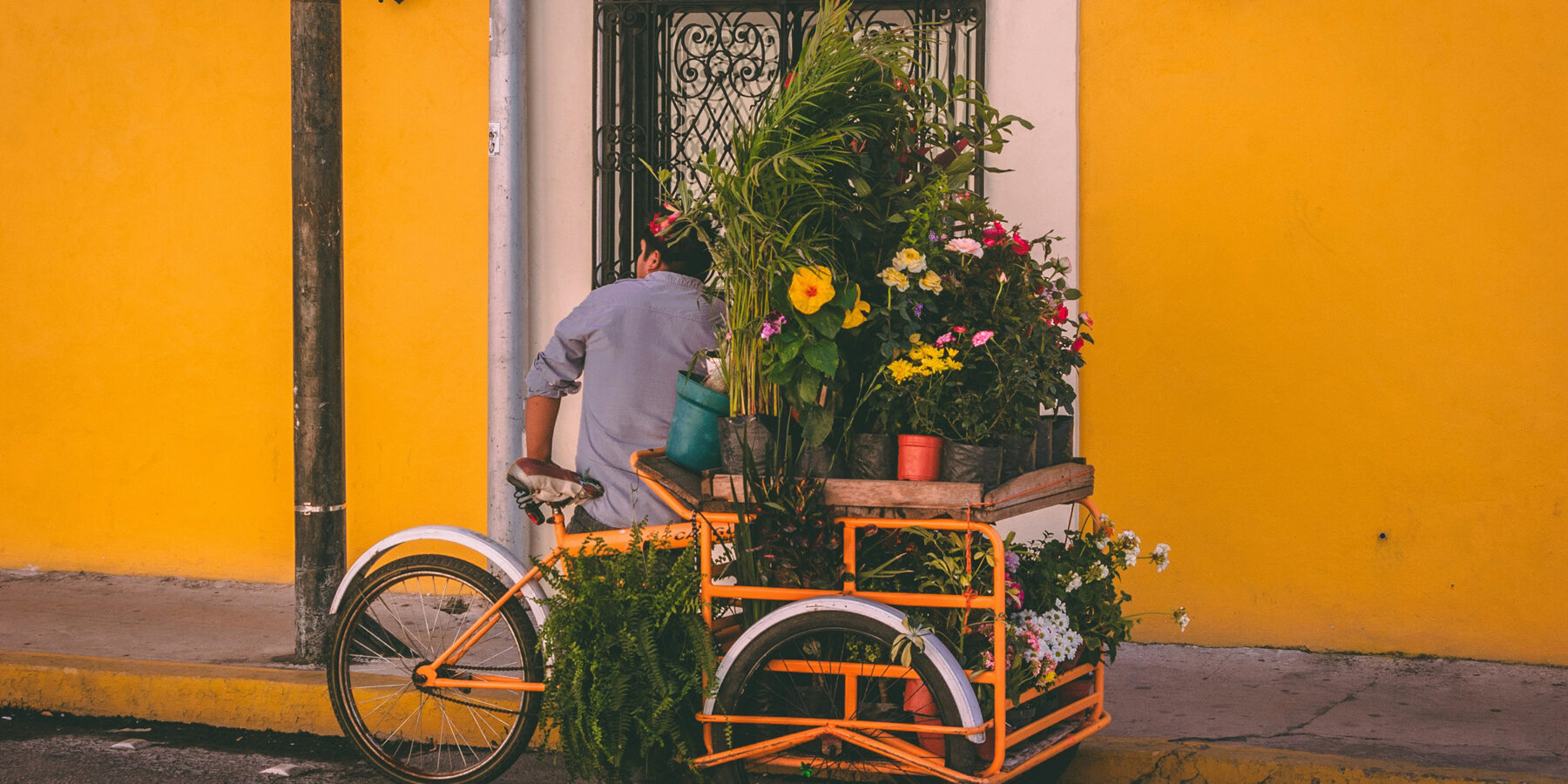 jorge-zapata-6FgbPqag3h8-unsplash