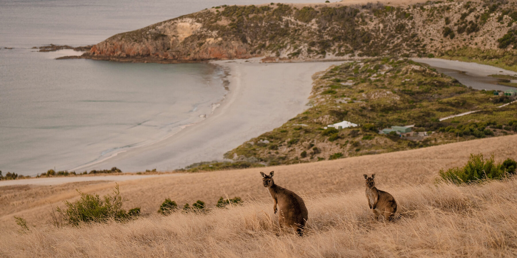 Kangaroo Island 2nd image credit Tourism Australia
