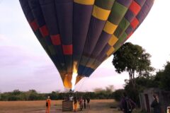 Katie Balloon blog 1st small image