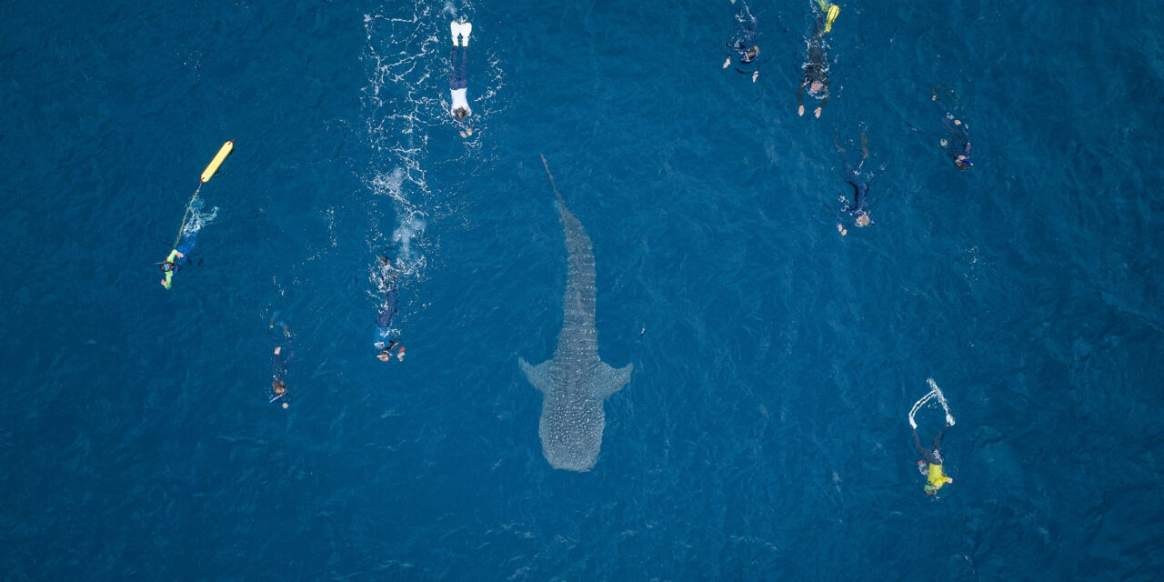 Kim Whales blog 3rd large image