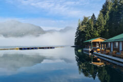 Knight Inlet 3