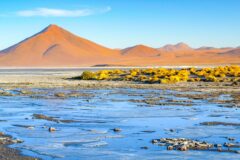 LAGUNA CEJAR shutterstock_1448869892