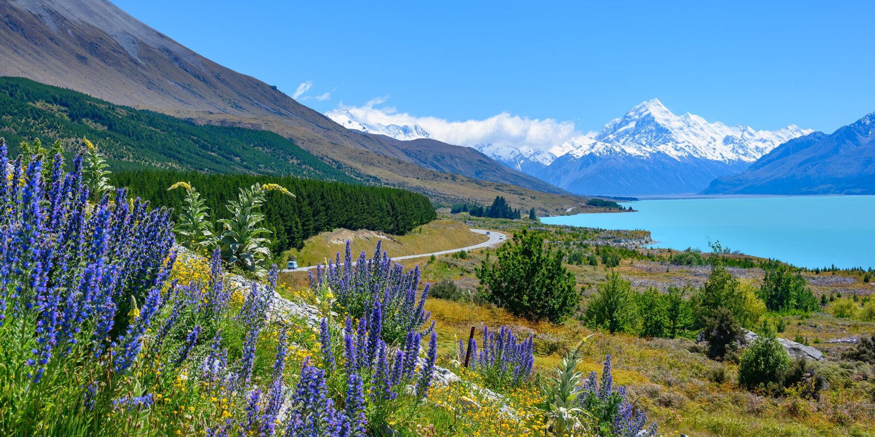 LAKE PUKAKI shutterstock_1657436755