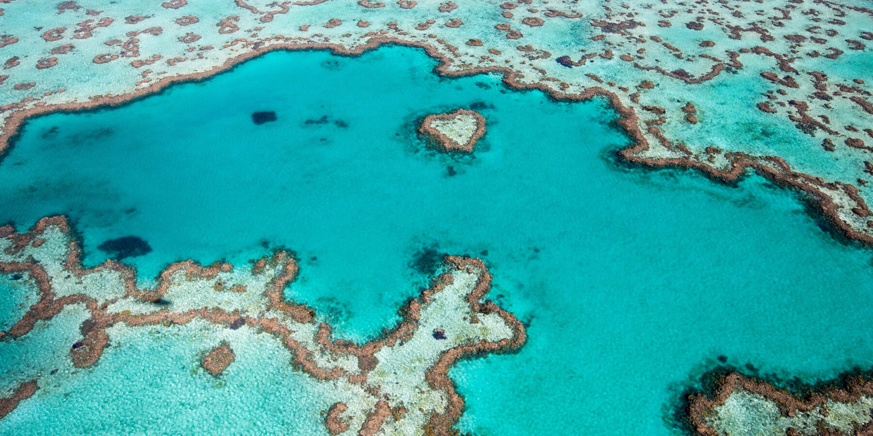 Lizard Island 1st image, delete current images credit Tourism Australia