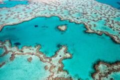 Lizard Island 1st image, delete current images credit Tourism Australia