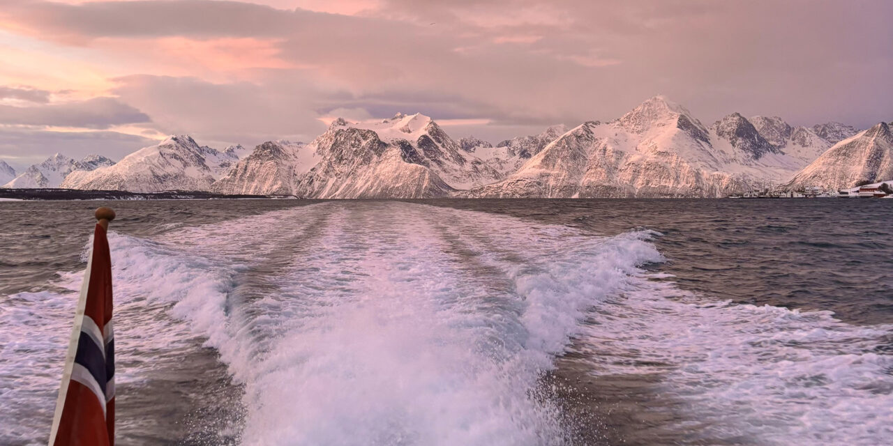Lyngen 5