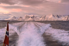 Lyngen 5