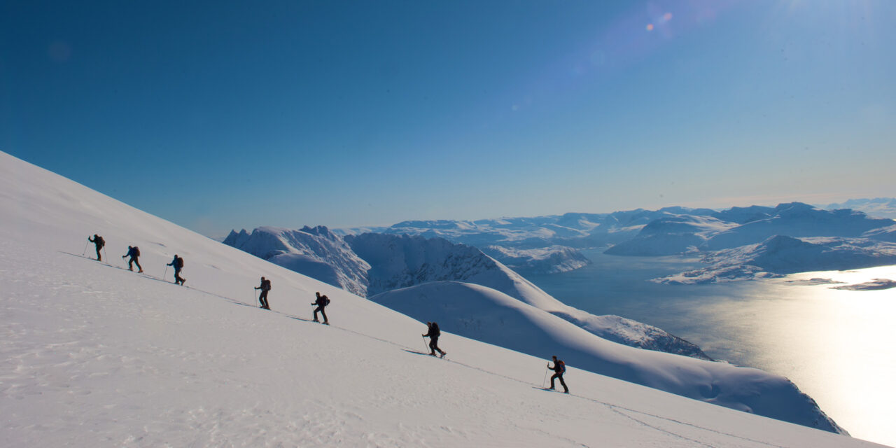 Lyngen 7