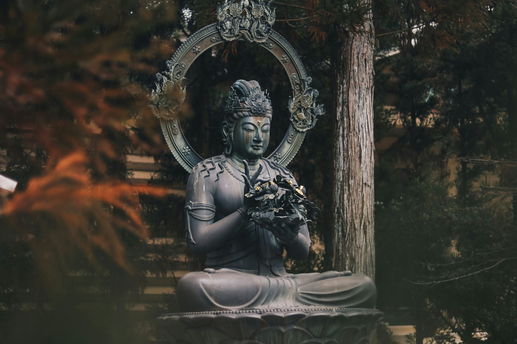 manuel-cosentino-hMc2OBV0dhg-unsplash