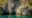 MAORI shutterstock_2219472247