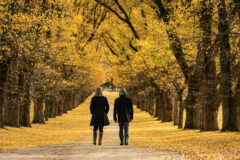 Melbourne & surrounds 2nd image credit Tourism Australia