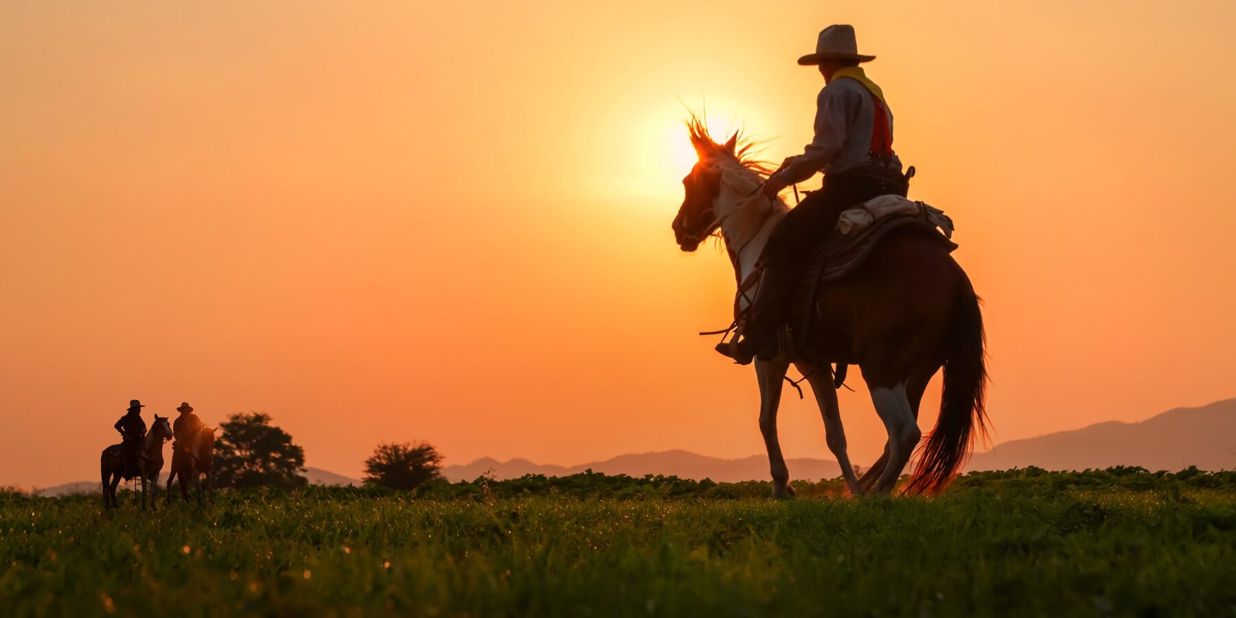 MONTANA 2 shutterstock_1380531914