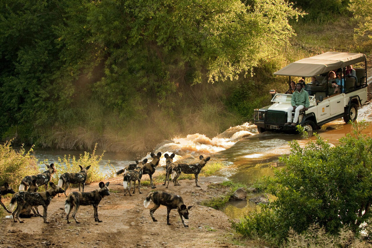 Morukuru game drive