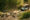 Morukuru game drive