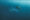 naja-bertolt-jensen-Uu1CtKngEXY-unsplash